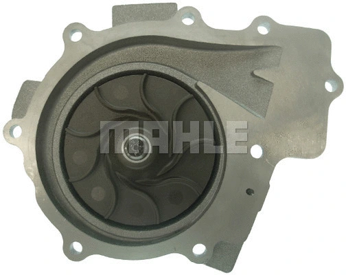 Water Pump, engine cooling (WG2182011)