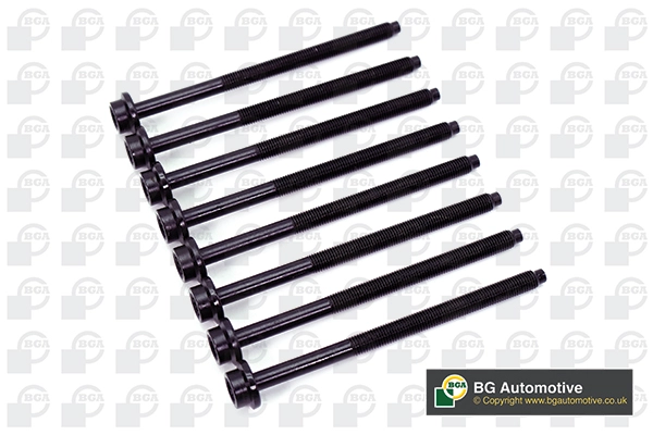 Cylinder Head Bolt Set (WG1490032)