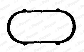 Gasket, intake manifold (WG1181812)