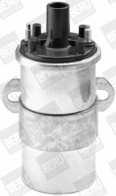 Ignition Coil (WG1487308)