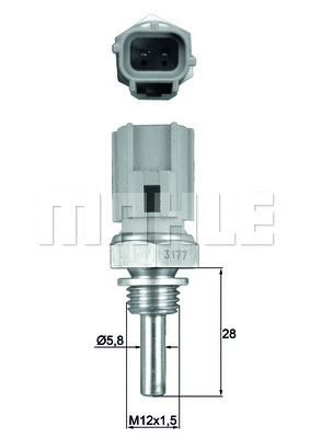 Sensor, coolant temperature (WG1789669)
