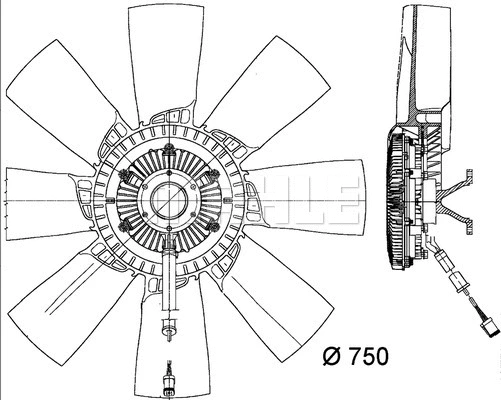 Fan, engine cooling