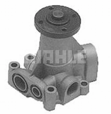 Water Pump, engine cooling (WG2181719)