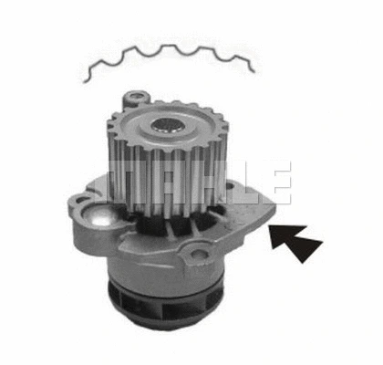 Water Pump, engine cooling (WG2182005)