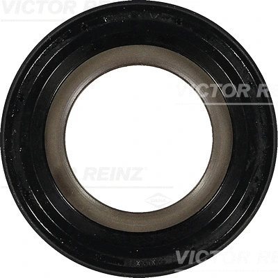 Shaft Seal, crankshaft (WG1249819)