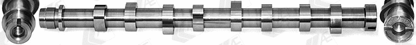 Camshaft (WG2202351)