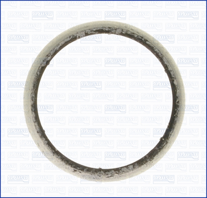 Gasket, exhaust pipe (WG1448525)