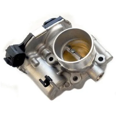 Throttle Body (WG1749369)