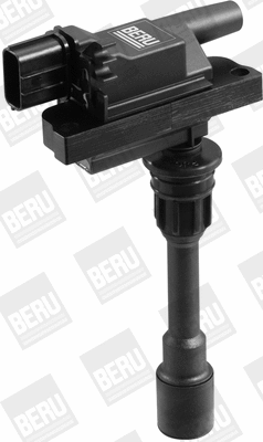 Ignition Coil (WG1487582)