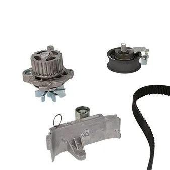 Water Pump & Timing Belt Kit (WG2261599)