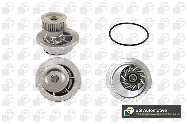 Water Pump, engine cooling (WG1489097)