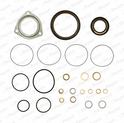 Gasket Kit, crankcase (WG1180082)