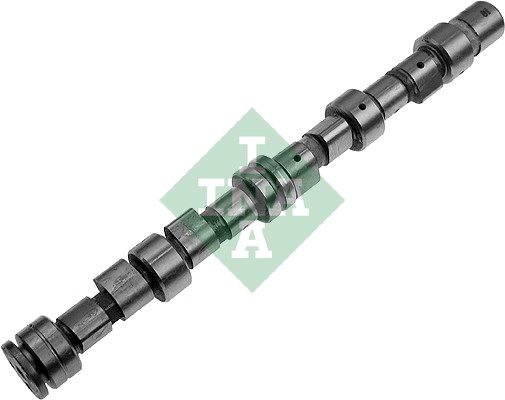 Camshaft (WG1780227)