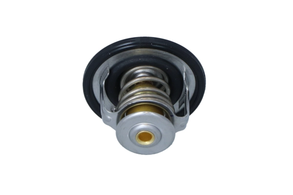 Thermostat, coolant (WG2204597)