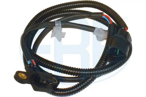 Sensor, camshaft position (WG1493810)