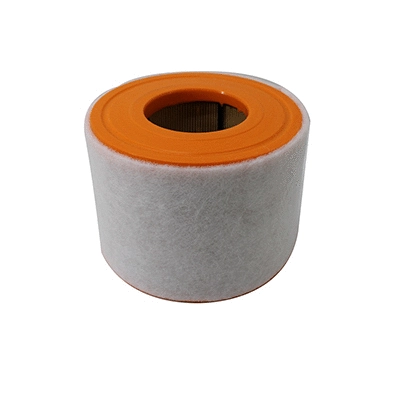 Air Filter (WG2152109)