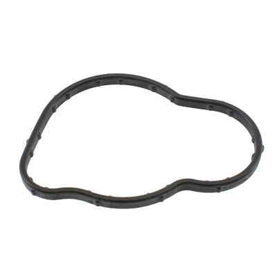 Seal, thermostat (WG2197616)