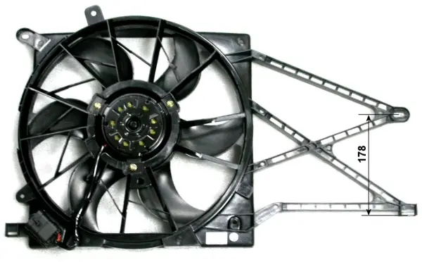 Fan, engine cooling (WG1720533)
