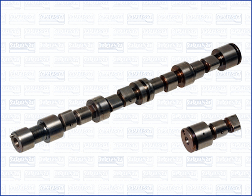 Camshaft (WG1171044)