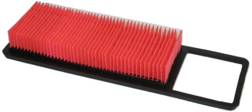 Air Filter (WG1747466)
