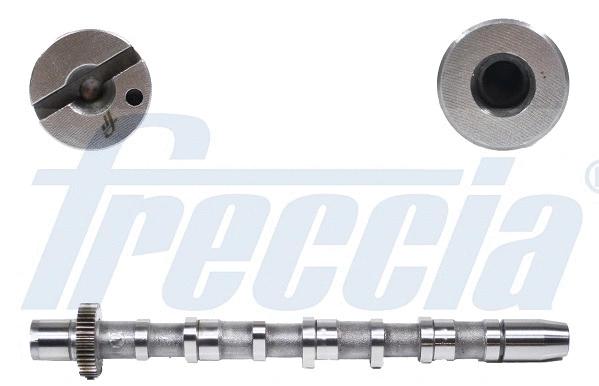Camshaft (WG1155401)