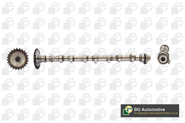 Camshaft (WG1907189)