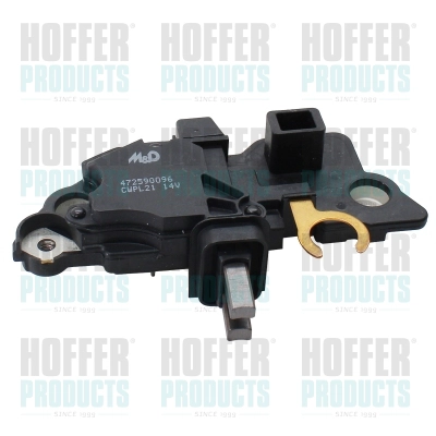 Alternator Regulator (WG2262624)