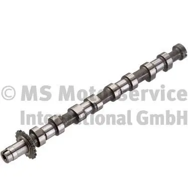 Camshaft (WG1380611)