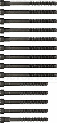 Cylinder Head Bolt Set (WG1103111)
