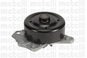 Water Pump, engine cooling (WG1790529)