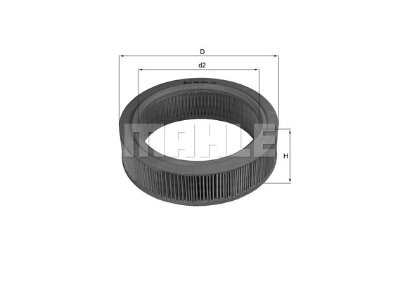 Air Filter (WG1216095)