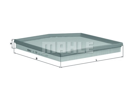 Air Filter (WG1216061)