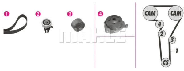 Water Pump & Timing Belt Kit (WG2182212)