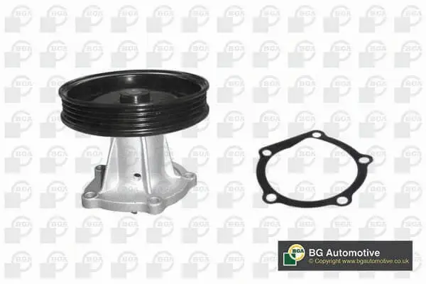 Water Pump, engine cooling (WG1941068)