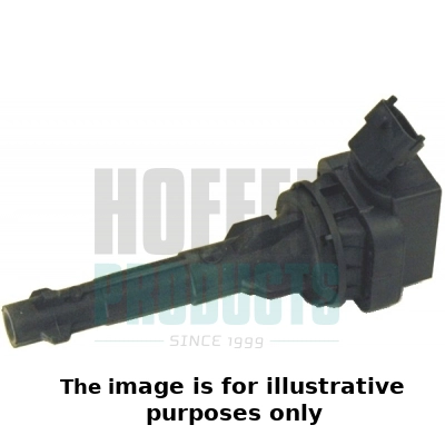Ignition Coil (WG2099665)