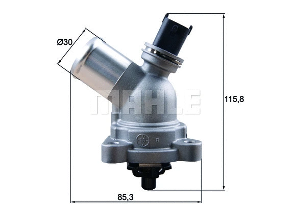 Thermostat, coolant (WG1789650)