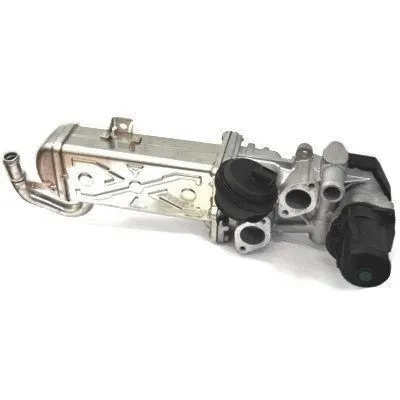 EGR Valve (WG1015380)