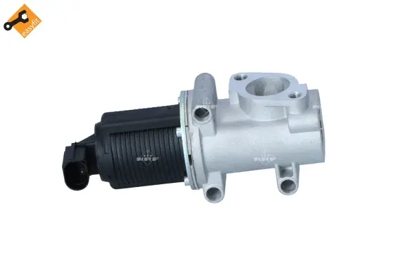 EGR Valve (WG2161811)