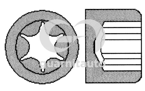 Cylinder Head Bolt Set (WG2135126)