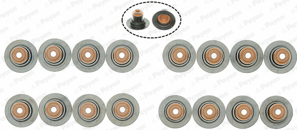 Seal Set, valve stem (WG2171417)