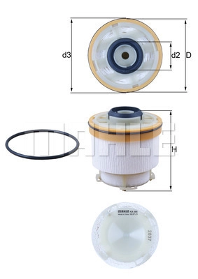 Fuel Filter (WG2325986)