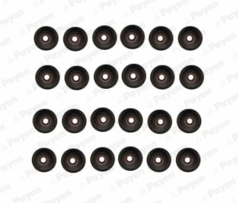 Seal Set, valve stem (WG1181299)