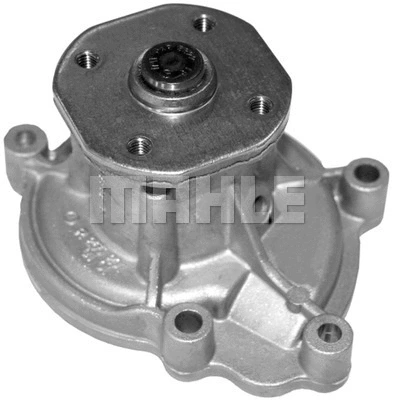 Water Pump, engine cooling (WG2181576)