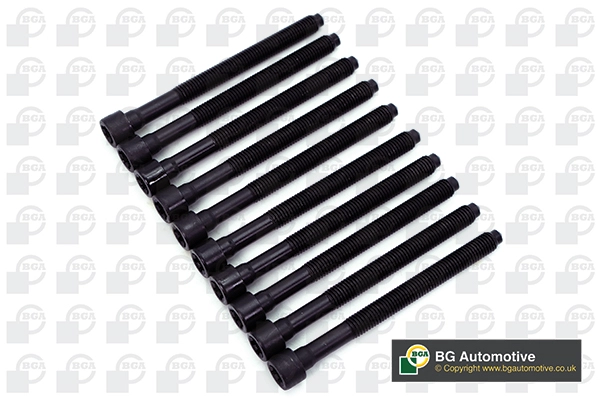 Cylinder Head Bolt Set (WG1490021)