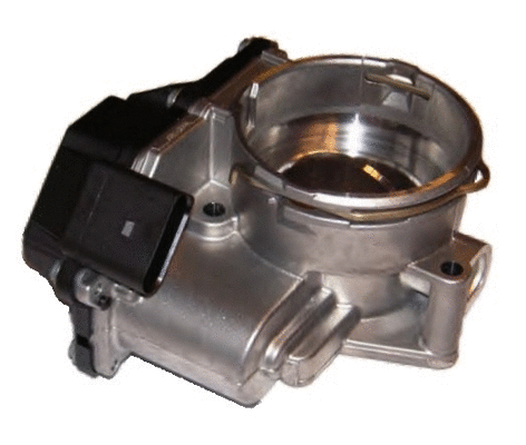 Throttle Body (WG1013530)