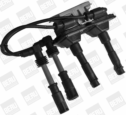 Ignition Coil (WG1487623)