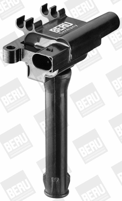 Ignition Coil (WG1487505)