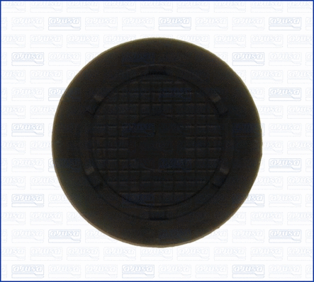 Locking Cover, camshaft (WG1447310)