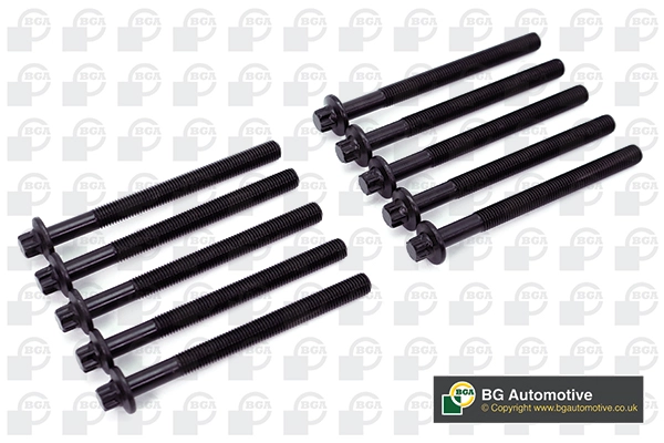Cylinder Head Bolt Set (WG1490025)