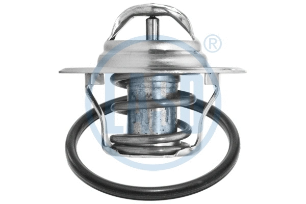 Thermostat, coolant (WG1804536)